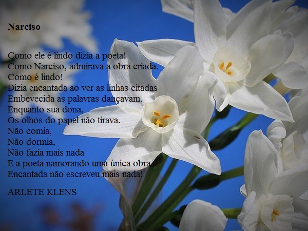 Narciso Poesiafaclube